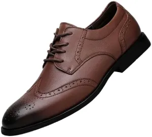 Men's Patent Leather Dress Shoes Lace-Up Formal Dress Shoes for Wedding Classic Oxfords Shoes(Brown,9)